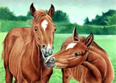 Mares and Foals, Equine Art - Baby Talk
